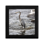 Great Blue Heron Wildlife Birdlover Photo Jewelry Box
