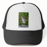 Great-crested Flycatcher Mesh Hats