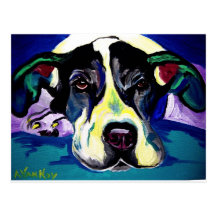 Great Dane #5 Postcard