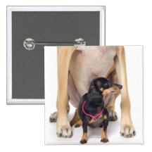 Great Dane and Dachshund portrait Pinback Button