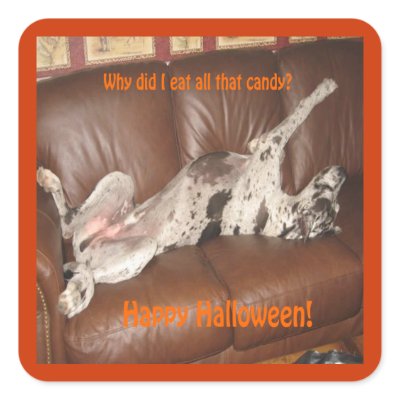 Great Dane Ate Too Much Halloween Candy Stickers by kingdomofanimals