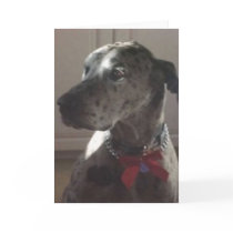 Great Dane Card