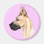 Great Dane Feminine Fawn Refrigerator Magnets