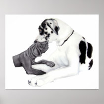 Great Dane Harle & Black Whisper Posters