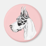 Great Dane Harlequin Feminine Fridge Magnets