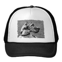 GREAT DANE MESH HATS