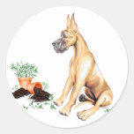 Great Dane Naughty Pup Fawn Stickers