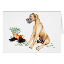 Great Dane Naughty Pup Fawn UC Cards