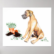 Great Dane Naughty Pup Fawn UC Poster