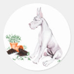 Great Dane Naughty Pup White Sticker