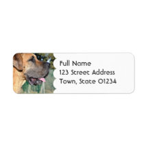 Great Dane Photo Mailing Labels