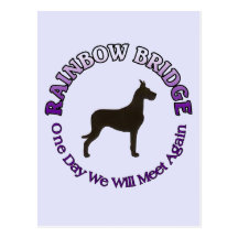 GREAT DANE RAINBOW BRIDGE SYMPATHY POST CARDS