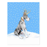 Great Dane Reindeer Christmas Merle Postcards