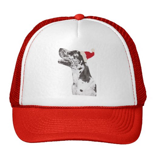Great Dane Santa Hat
