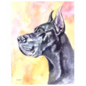 Great Dane TShirts
