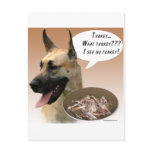 Great Dane Turkey