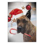 GREAT DANE WEARS SANTA HAT ON EAR GREETING CARDS