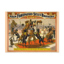 Great Danes / Dogs Circus Poster