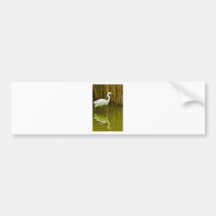 Great Egret Bumper Sticker
