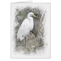 Great Egret Greeting Card
