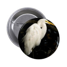 Great egret pinback button