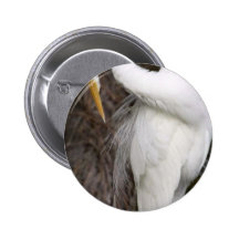 Great egret preening pinback button