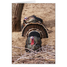 Great Gobblers! Cards