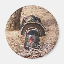 Great Gobblers! Magnets