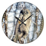 Great Grey Owl - Creamy Brown Watcher
