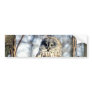 Great Grey Owl - Creamy Brown Watcher