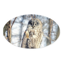 Great Grey Owl - Creamy Brown Watcher