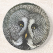 Great Grey Owl Drink Coaster