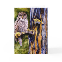 Great Grey Owl, Greeting Card