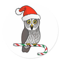 Great Grey Owl Santa