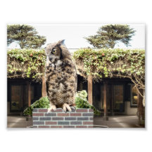 Great Horned Owl Art Photo