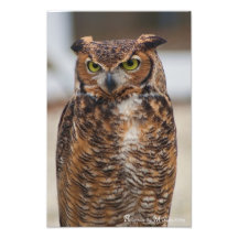 Great Horned Owl Art Photo