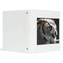 Great Horned Owl