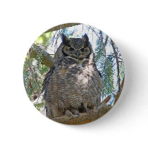 Great Horned Owl Pinback Button