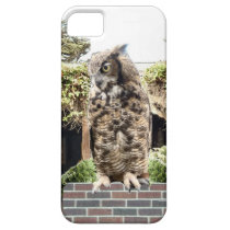 Great Horned Owl casemate cases