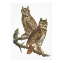 Great Horned Owl, John Audubon Custom Invite