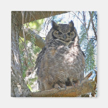 Great Horned Owl Magnet