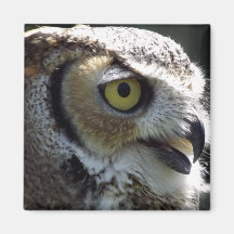 Great Horned Owl Magnet