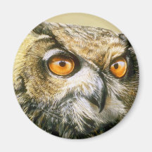 Great-Horned-Owl Magnets