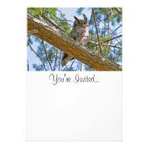 Great Horned Owl Photo Invites