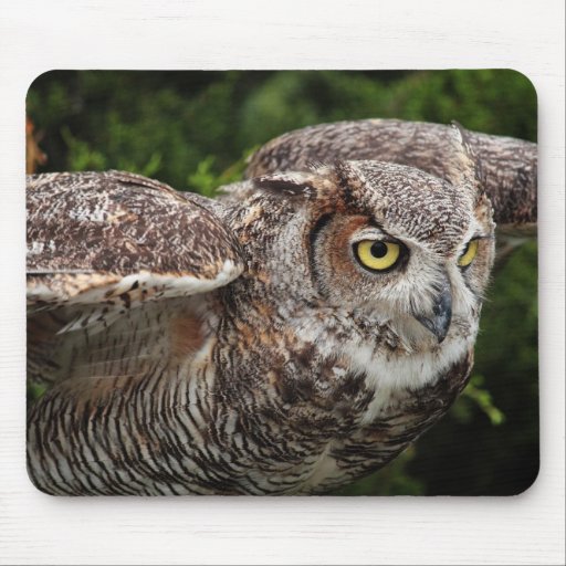 Great Horned Owl photo mousepad