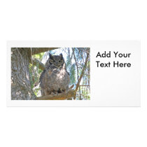 Great Horned Owl Photo Card Template