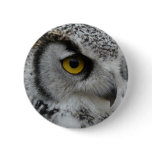 Great Horned Owl Photograph Pinback Button