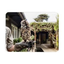 Great Horned Owl Rectangular Magnet