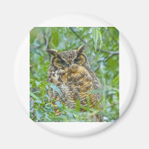 Great Horned Owl Refrigerator Magnet