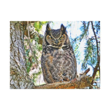 Great Horned Owl Staring Gallery Wrapped Canvas